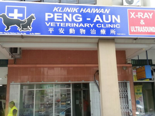 Muar klinik haiwan Klinik Sofea