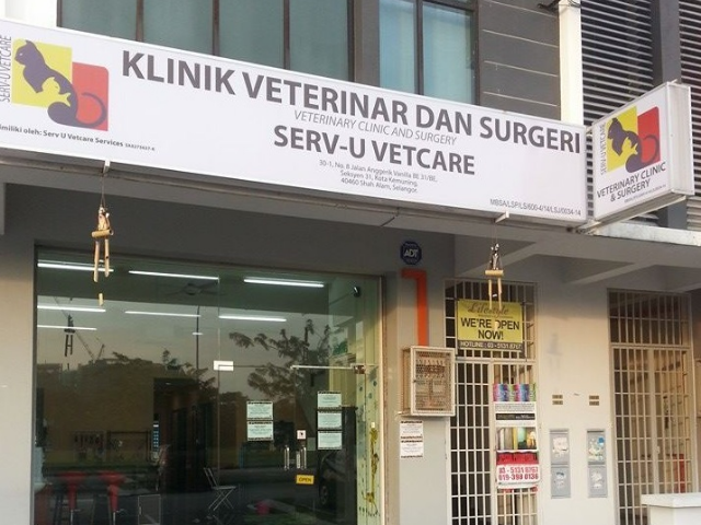 Serv U Veterinary Clinic Surgery Carilocal